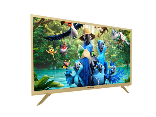 Jamuna 32" HD Basic TV J32BU7