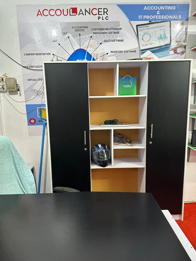 Accoulancer PLC