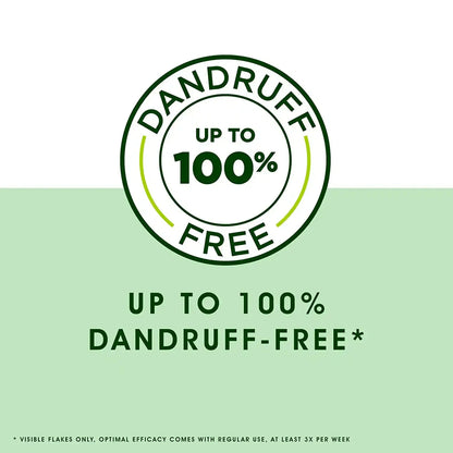 Head & Shoulders Neem Anti Dandruff Shampoo