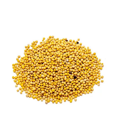 সরিষা দানা (হলুদ/Yellow Mustard Seeds)